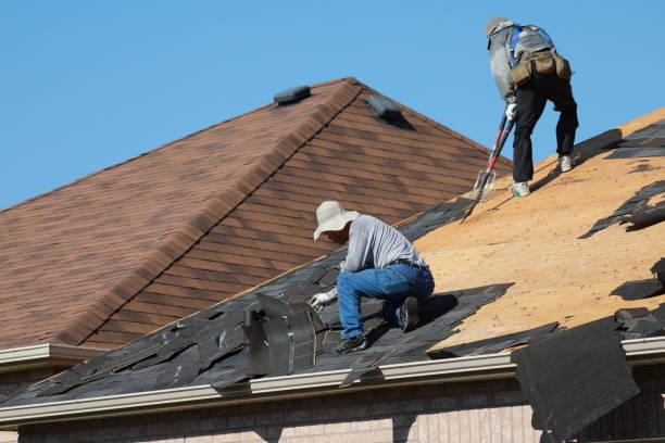 Best Roofing for New Construction  in Camden, AR