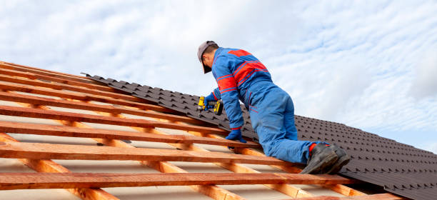 Best Skylights  in Camden, AR